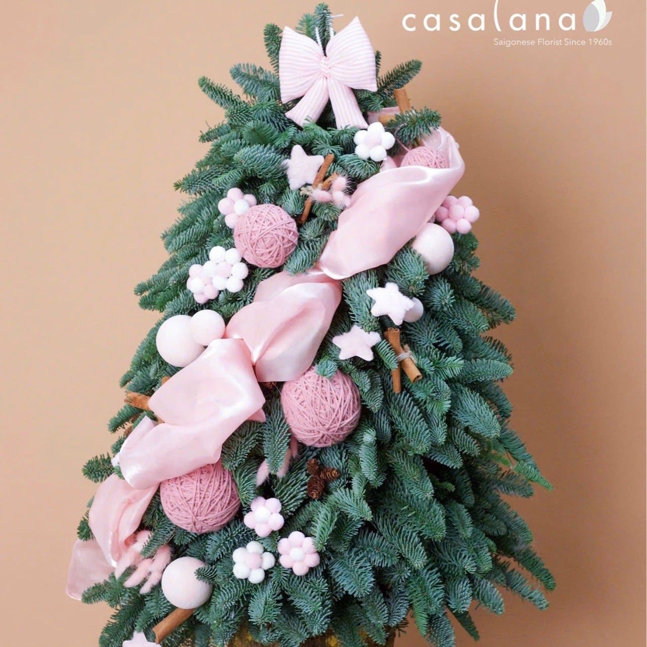  Cây thông Nobilis_Princess Winter 