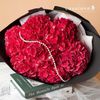  Hydrangea Ruby Red 7 