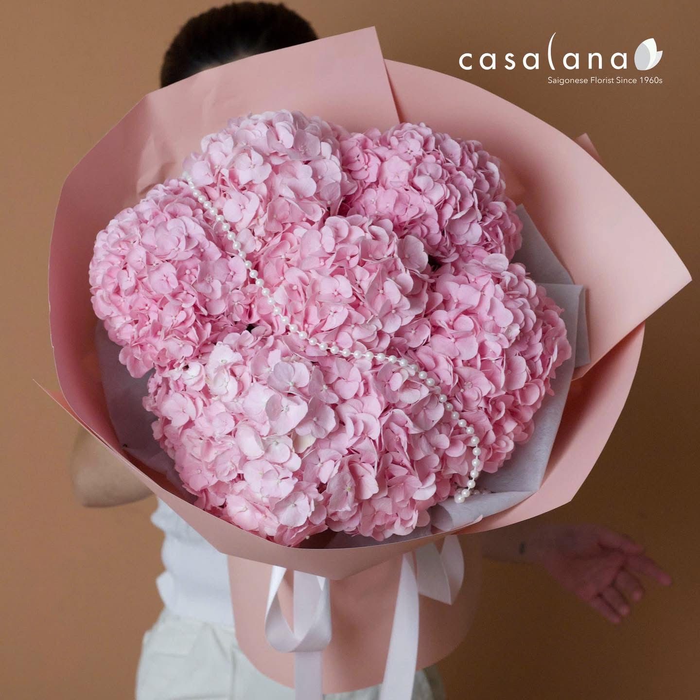  Hydrangea Pink 7 