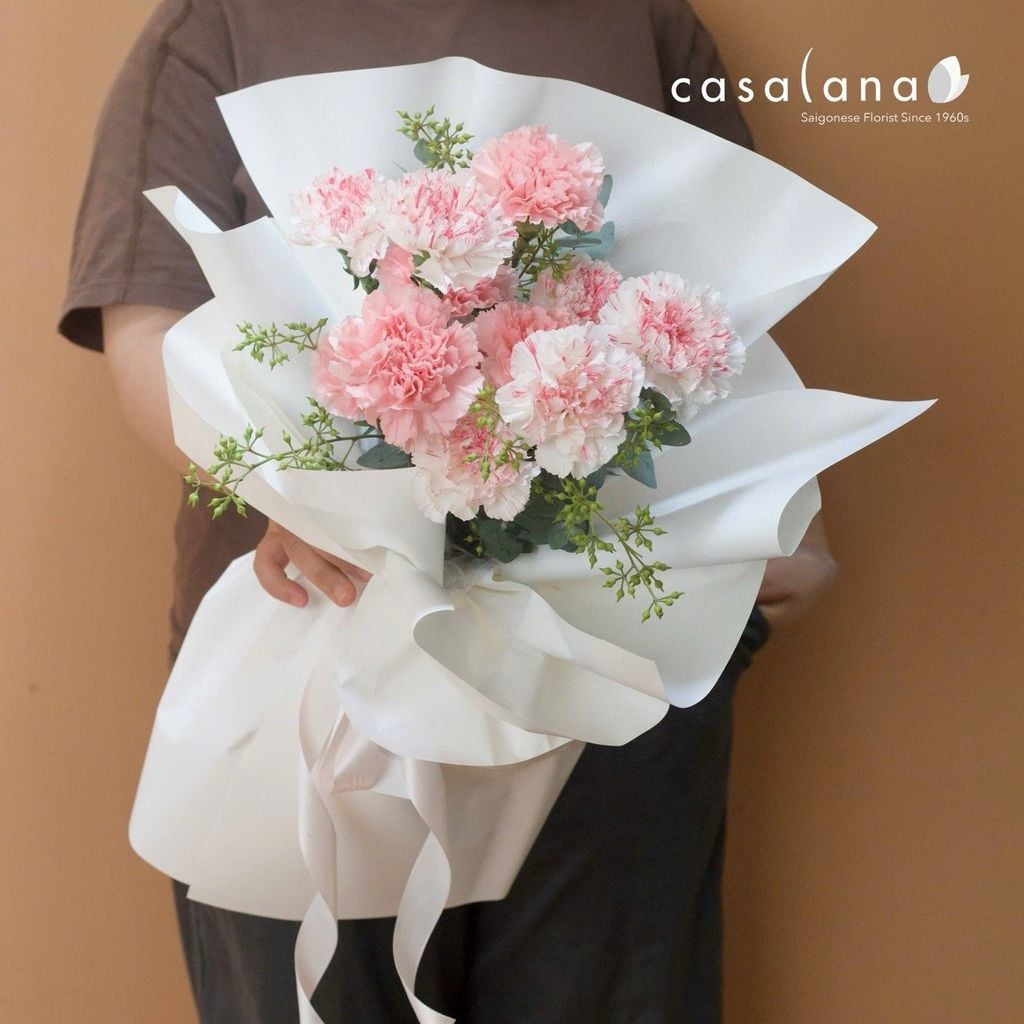  Bó Cc Doncel x Yukari 