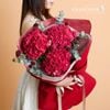  Hydrangea Ruby Red 3 