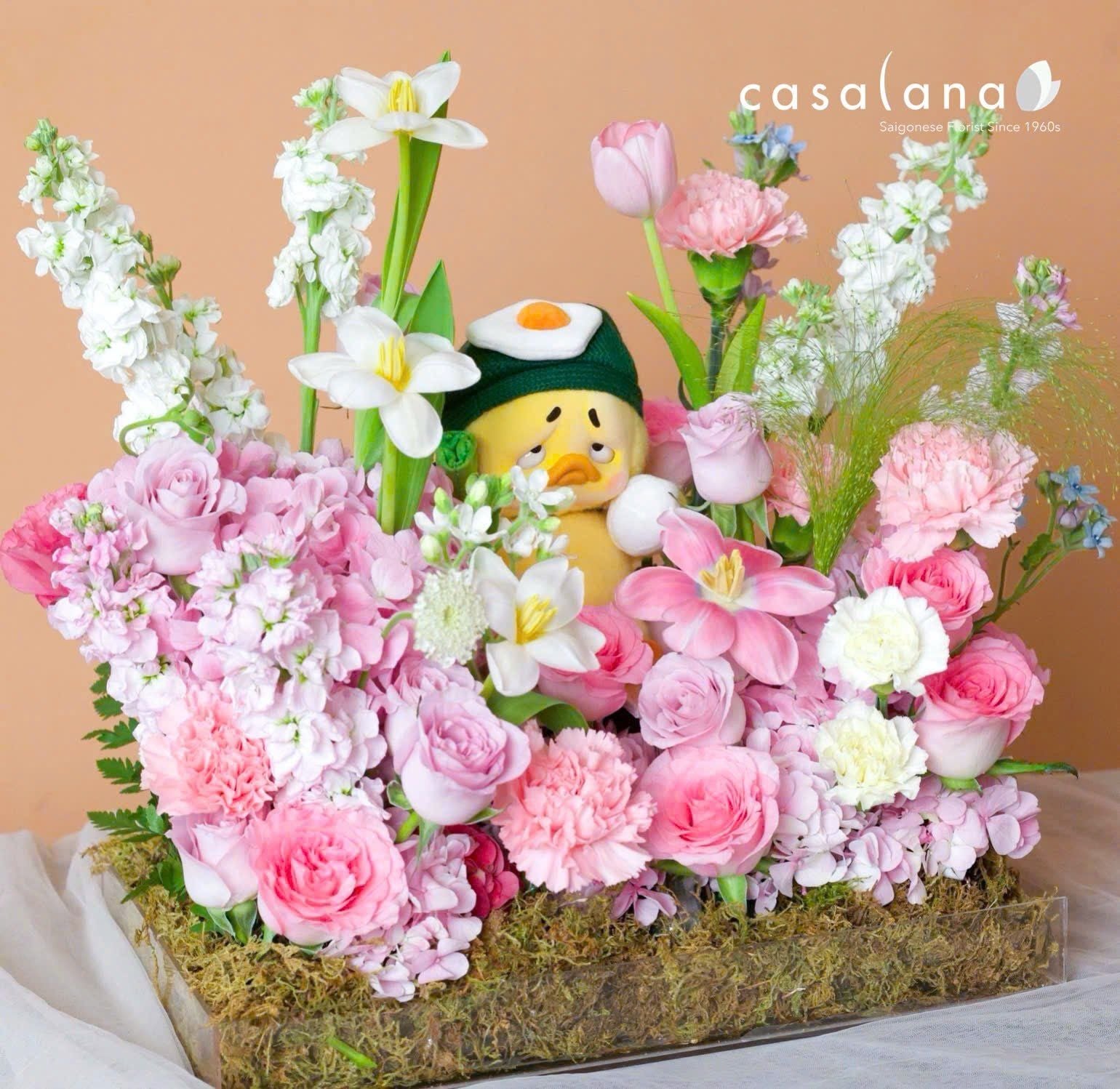  Set Hoa x Upset Duck 