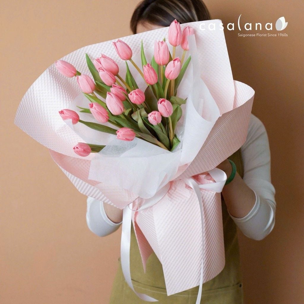  Tulip Rosy 20 