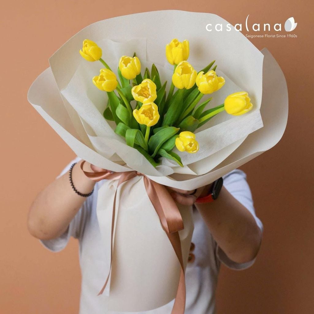  Tulip Vàng 10 