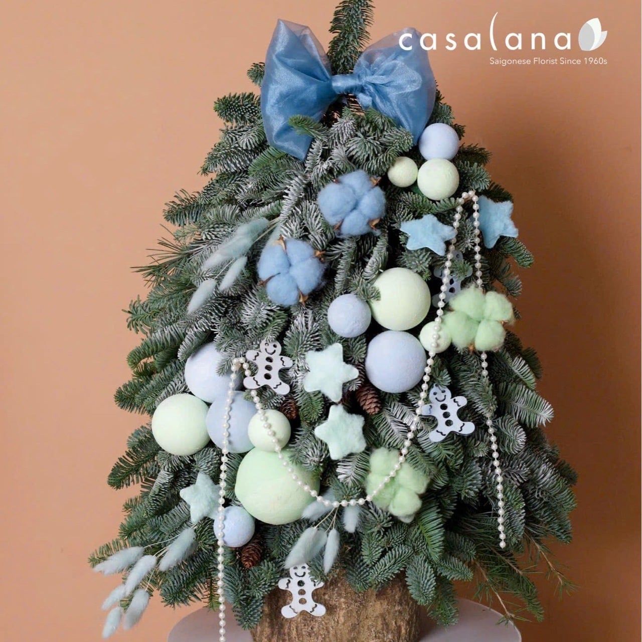  Cây thông Nobilis_Winter Pastel 