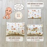  Bộ chăn gối sơ sinh Petit Bebe 