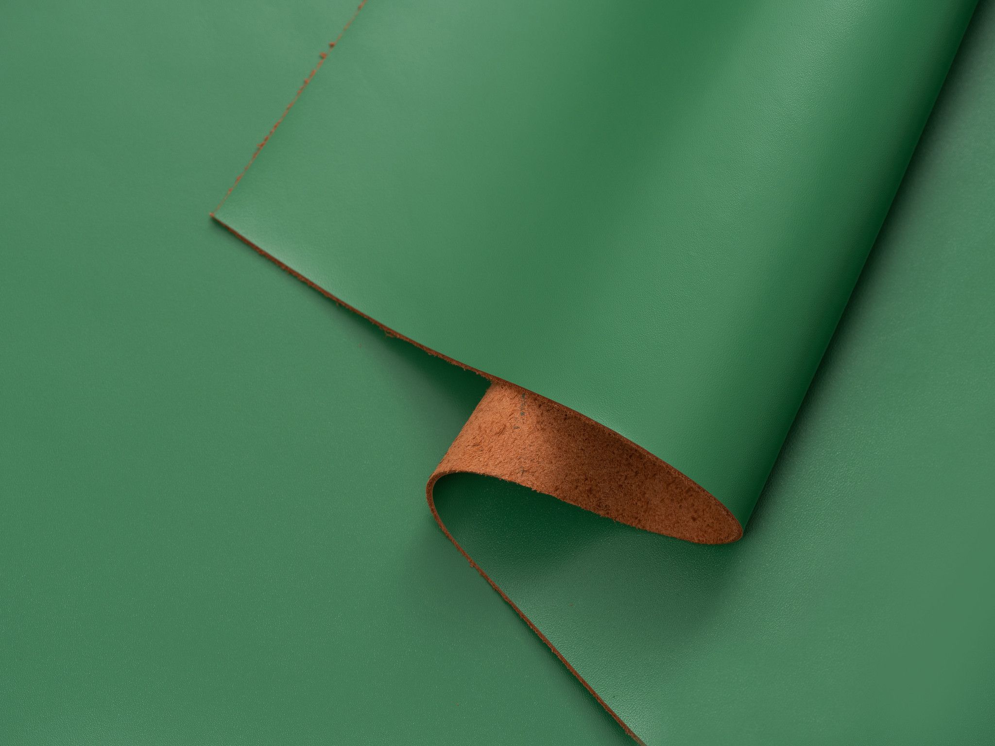  iPhone XR - Dán da điện thoại 