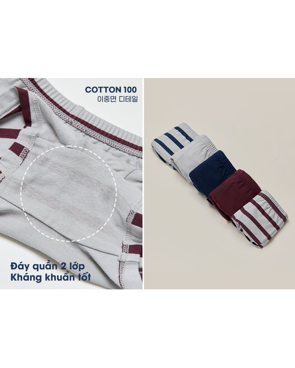 Set 5 quần chip đùi bé trai U6066