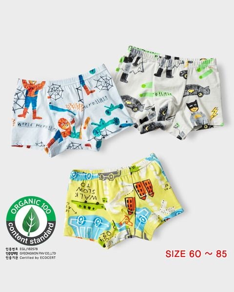 Set 3 quần chip đùi bé trai U6003