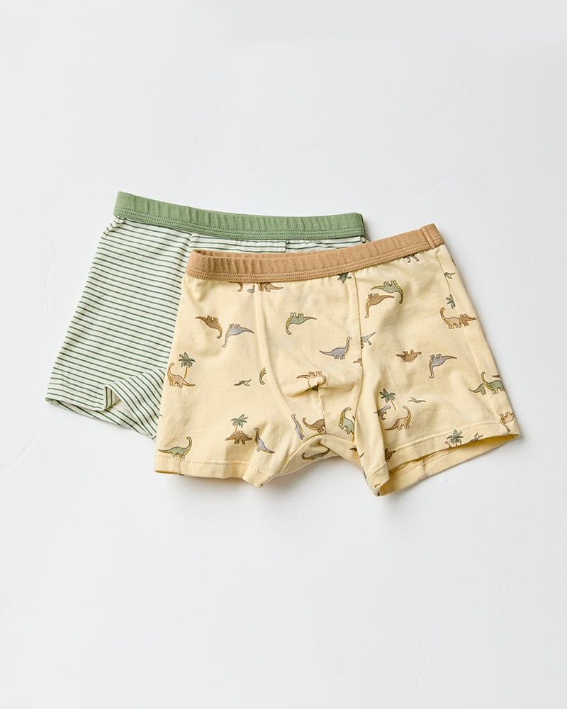 Set 5 quần chip đùi bé trai U6048