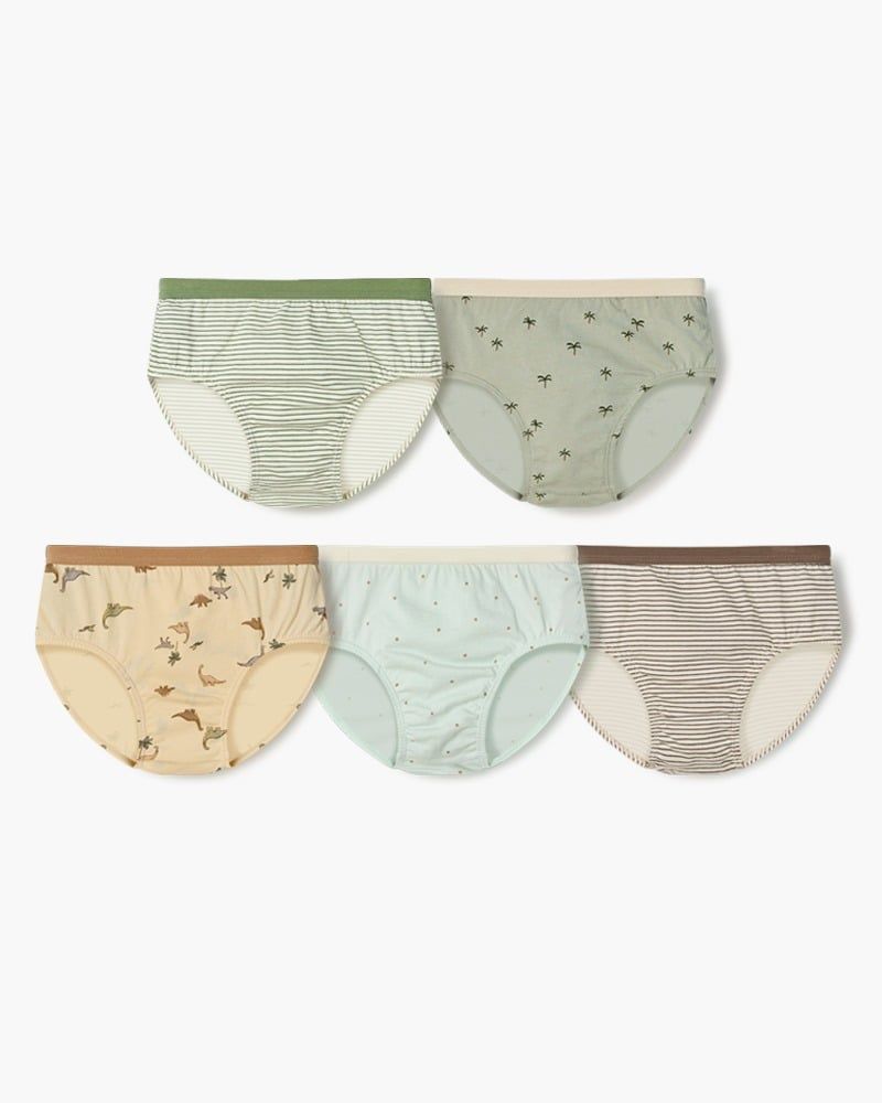 Set 5 quần chip tam giác bé trai U6056