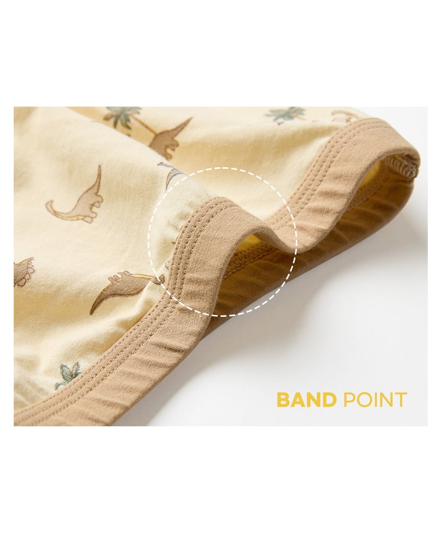 Set 5 quần chip đùi bé trai U6048