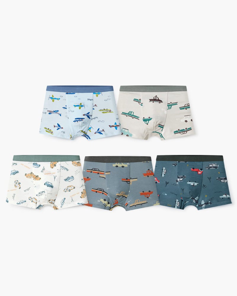 Set 5 quần chip đùi bé trai U6049