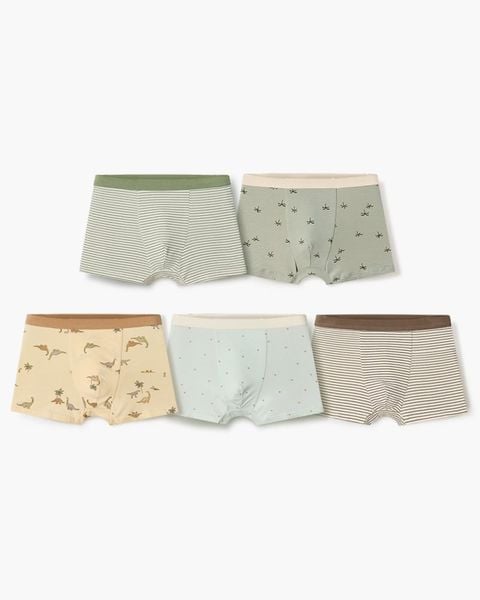 Set 5 quần chip đùi bé trai U6048