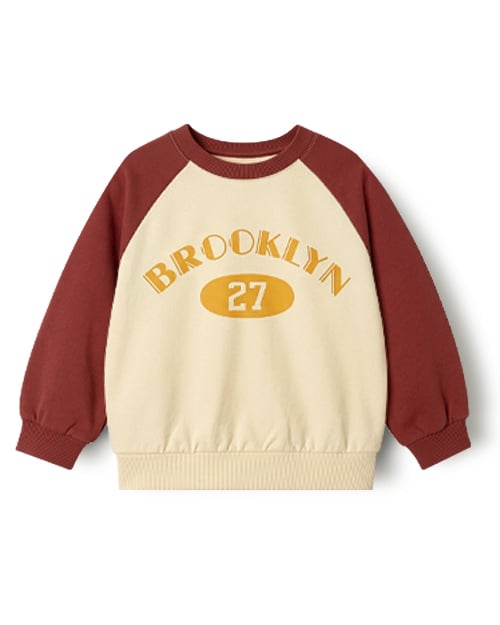 Áo sweater dài tay vải nỉ da cá cotton bé trai và bé gái U900T