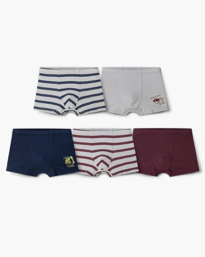 Set 5 quần chip đùi bé trai U6066