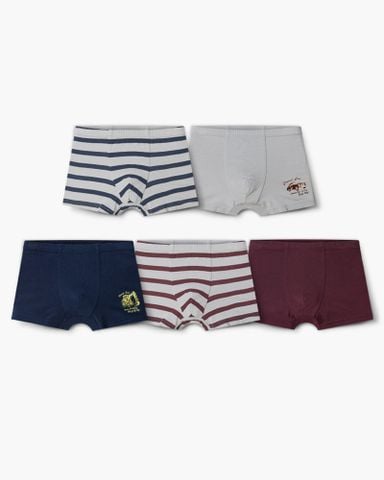 Set 5 quần chip đùi bé trai U6066