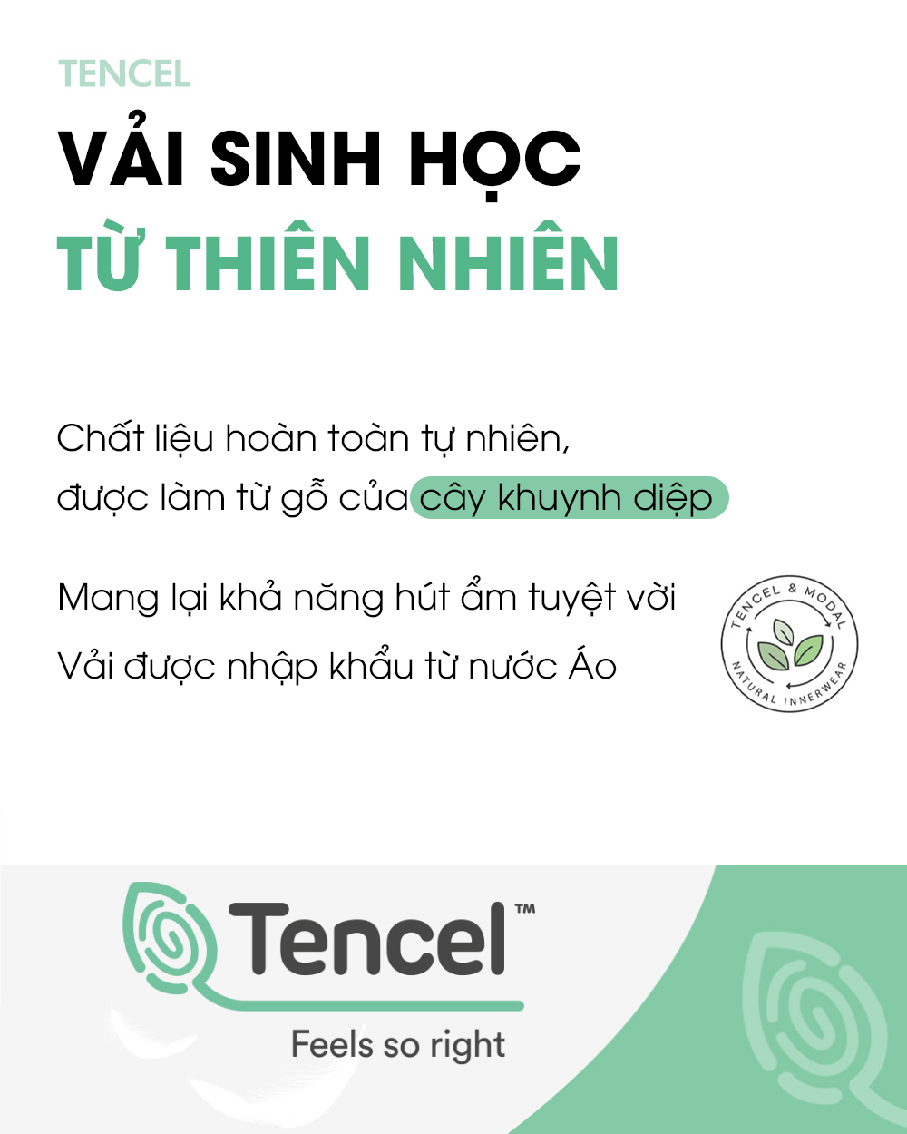 Set 3 quần chip đùi vải Tencel cho bé trai U6060