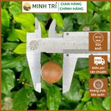  MT - Macca Nứt Vỏ 500g 