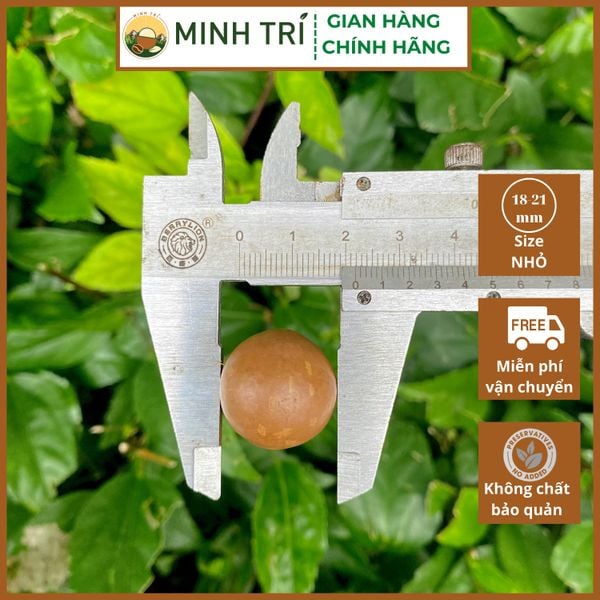  MT - Macca Nứt Vỏ 500g 