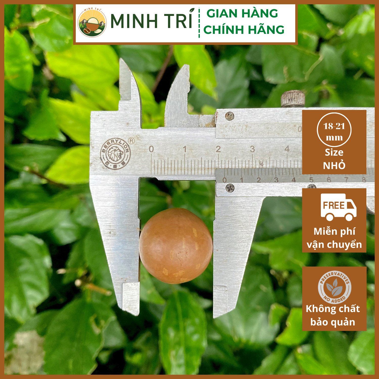  MT - Macca Nứt Vỏ 500g 