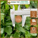  MT - Macca Nứt Vỏ 500g 