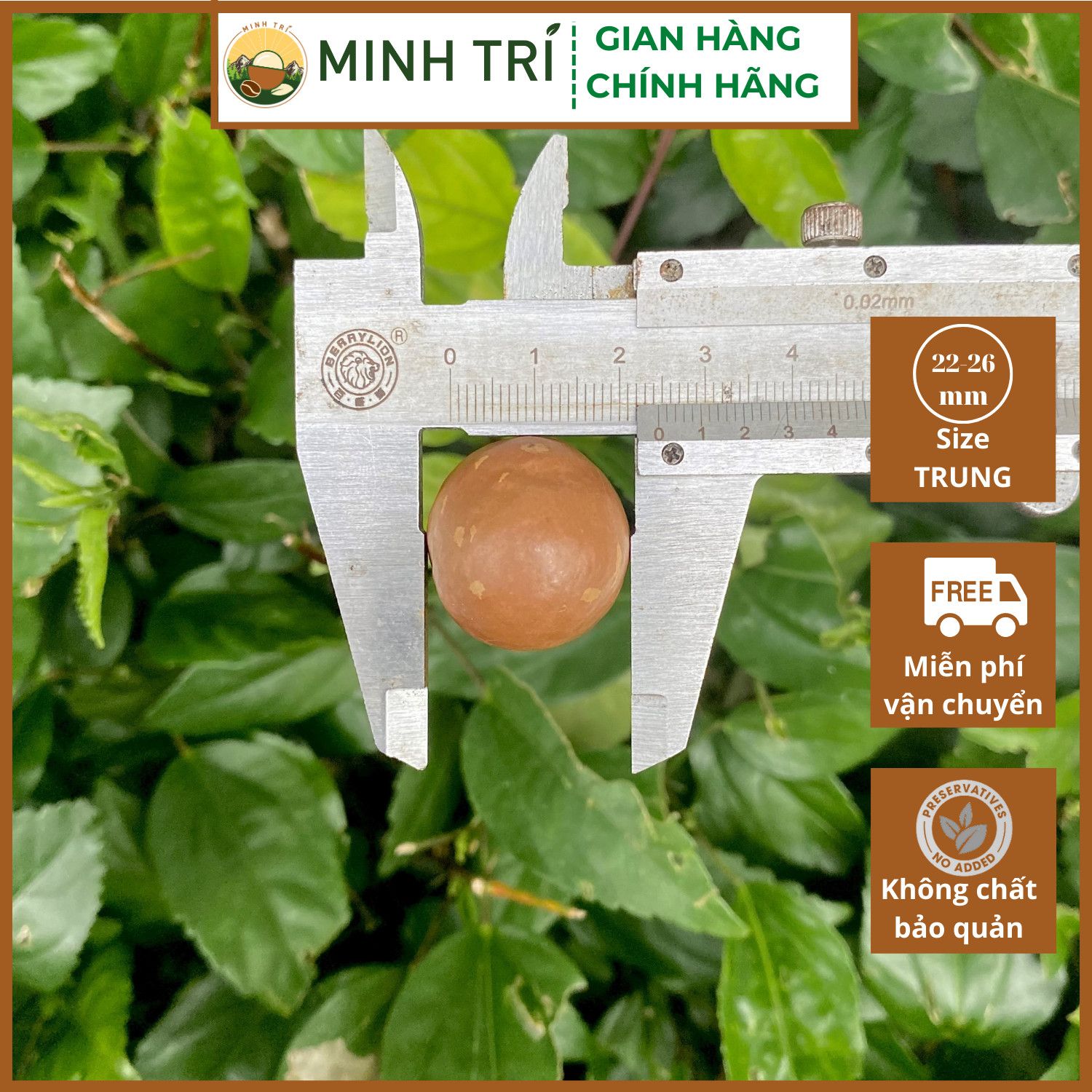  MT - Macca Nứt Vỏ 500g 