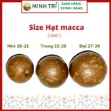  MT - Macca Nứt Vỏ 500g 