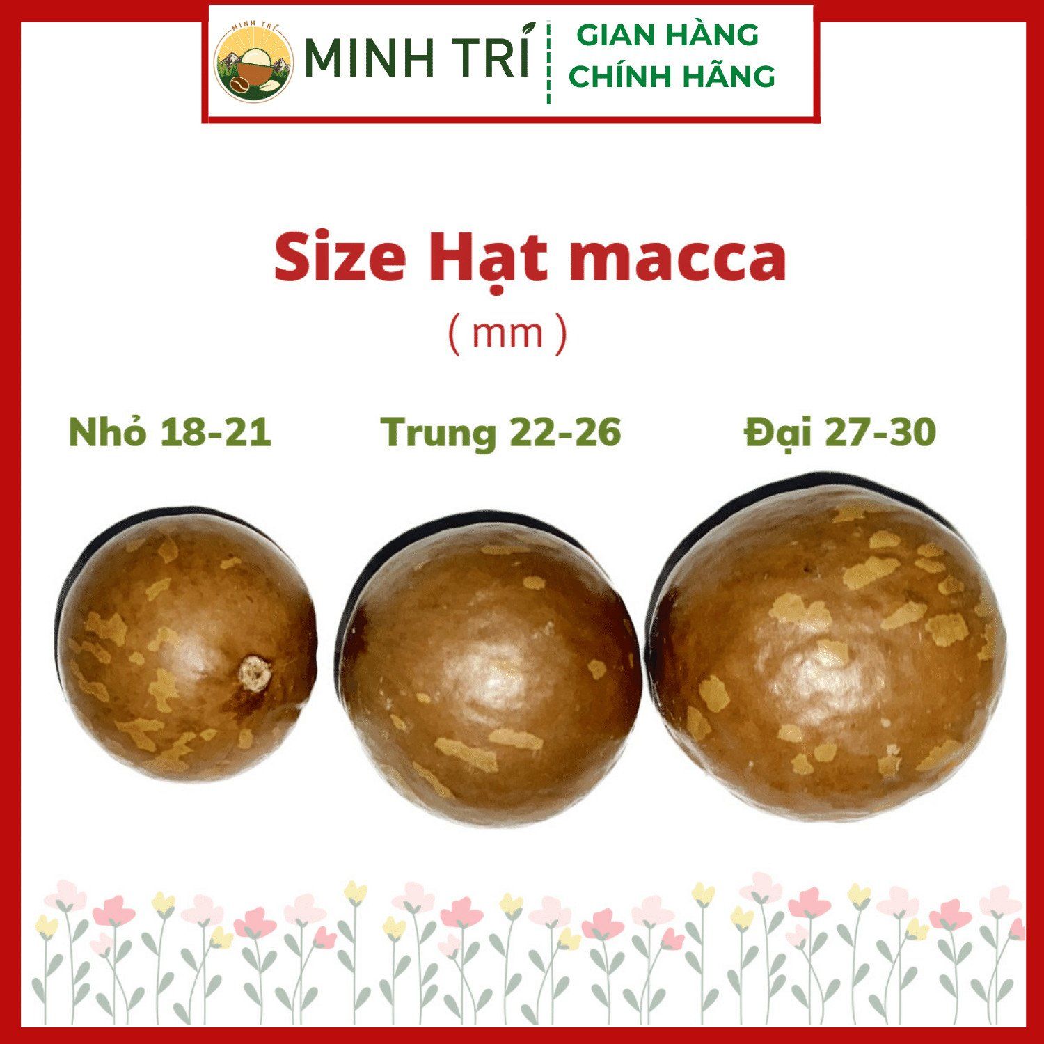 MT - Macca Nứt Vỏ 500g 