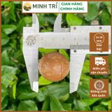  MT - Macca Nứt Vỏ 500g 