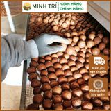  MT - Macca Nứt Vỏ 500g 