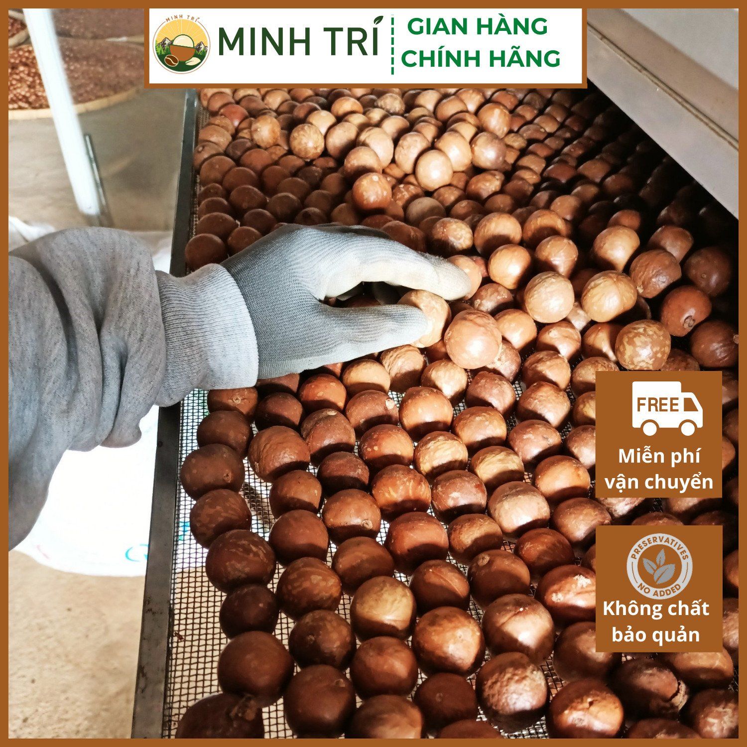  MT - Macca Nứt Vỏ 500g 