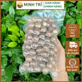  MT - Macca Nứt Vỏ 500g 