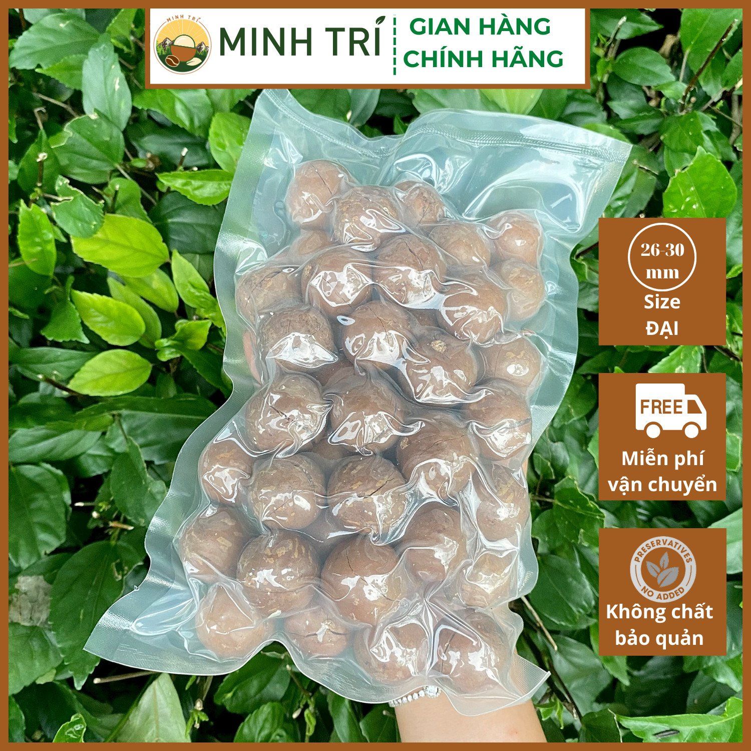  MT - Macca Nứt Vỏ 500g 