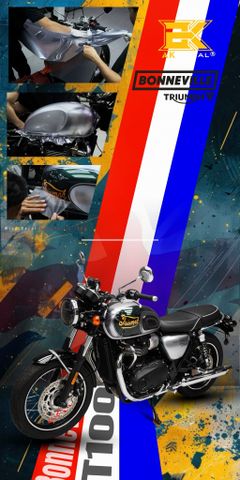 TRIUMPH BONNEVILLE T100 - 1426
