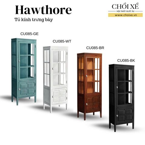 BỘ SƯU TẬP TỦ KÍNH TRƯNG BÀY HAWTHORNE