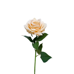 CÀNH HỒNG ĐẠI MÀU HỒNG