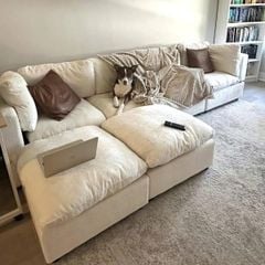 GHẾ SOFA MODULE