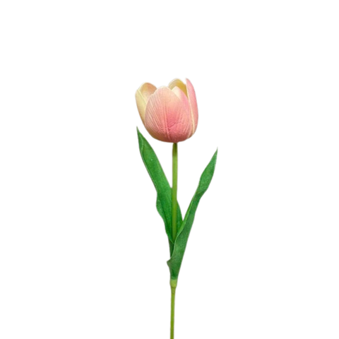 BÔNG TULIP MÀU HỒNG NHẠT