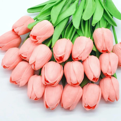 HOA TUPLIP MÀU HỒNG NHẠT