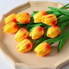 HOA TUPLIP MÀU CAM ĐẬM