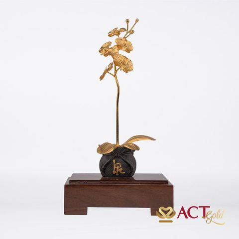 Quà tặng Chậu Lan 1 Cành dát vàng 24k ACT GOLD ISO 9001:2015