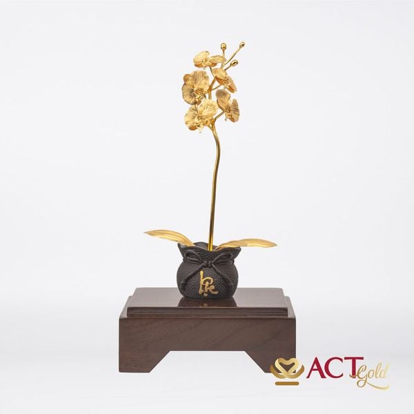Quà tặng Chậu Lan 1 Cành dát vàng 24k ACT GOLD ISO 9001:2015