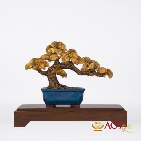Quà tặng Tùng La Hán dát vàng 24k ACT GOLD ISO 9001:2015 (Mẫu 2)