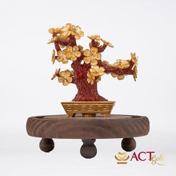 Quà tặng Chậu Mai dát vàng 24k ACT GOLD ISO 9001:2015(Mẫu 1)