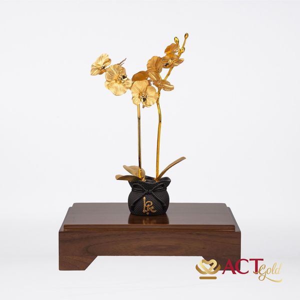 Quà tặng Chậu Lan 2 Cành dát vàng 24k ACT GOLD ISO 9001:2015