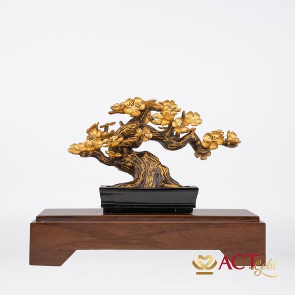 Quà tặng Chậu Mai dát vàng 24k ACT GOLD ISO 9001:2015