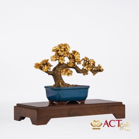 Quà tặng Chậu Mai Ngũ Phúc dát vàng 24k ACT GOLD ISO 9001:2015