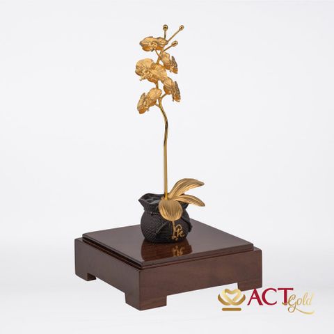 Quà tặng Chậu Lan 1 Cành dát vàng 24k ACT GOLD ISO 9001:2015