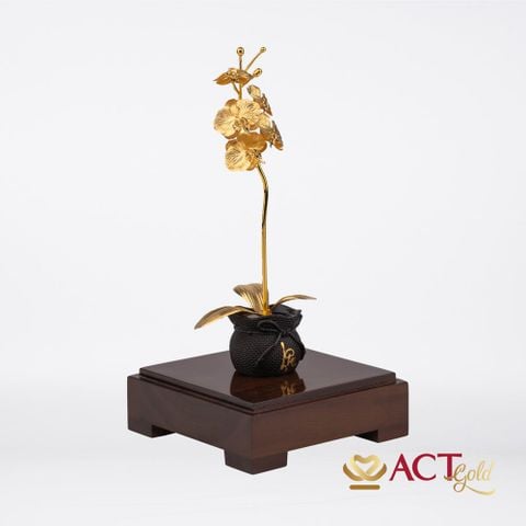Quà tặng Chậu Lan 1 Cành dát vàng 24k ACT GOLD ISO 9001:2015